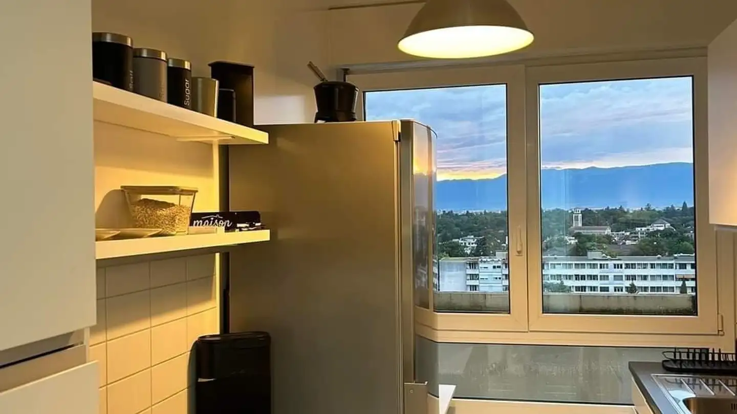 Appartamento in affitto - Avenue Adrien- Jeandin 14, 1226 Thônex