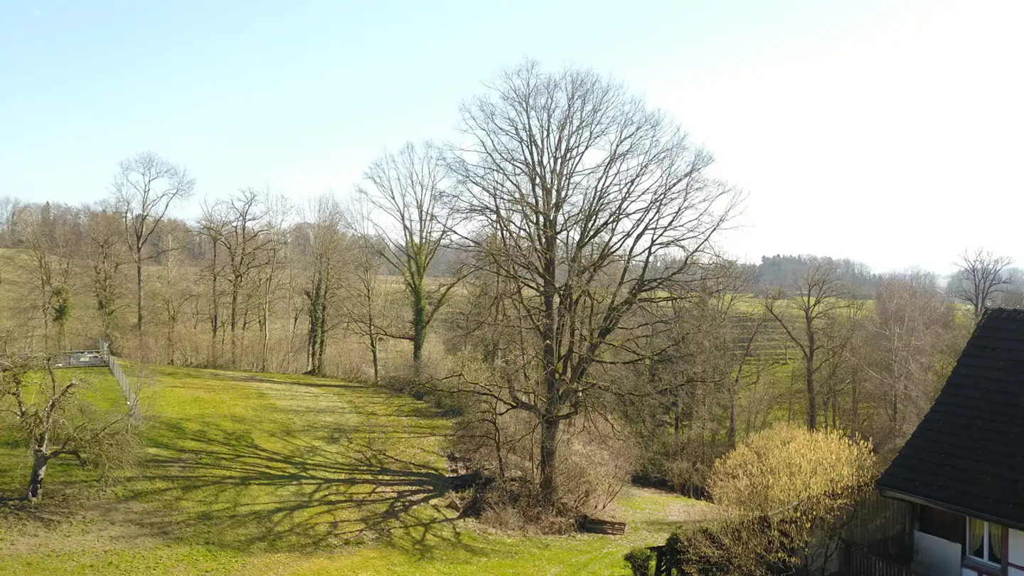 Casa singola in vendita - 8572 Berg TG - Photo 4