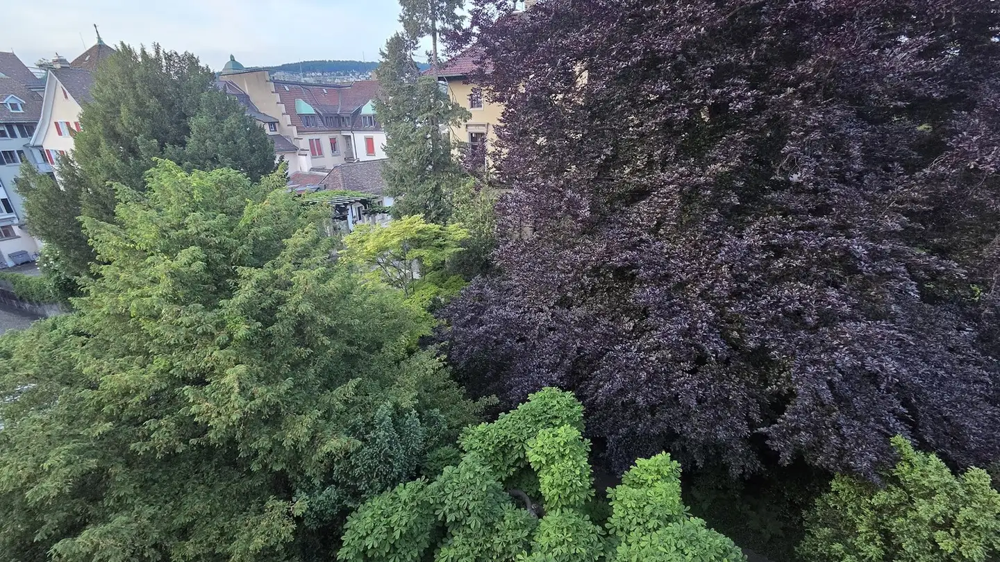 Stanza singola in affitto - Frankengasse 30, 8001 Zürich - Photo 2