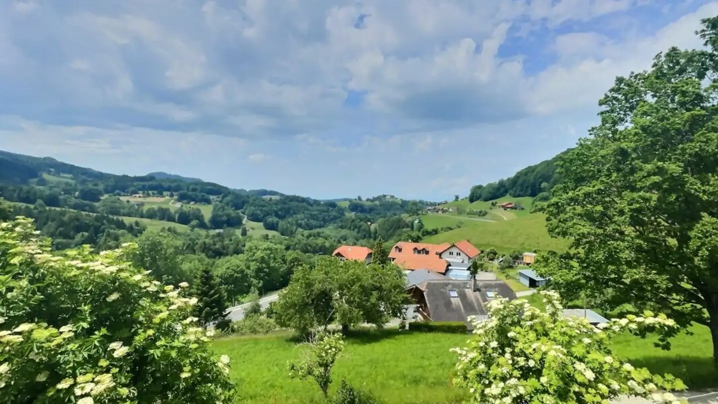 Einfamilienhaus kaufen - Schürli 14, 1737 Plasselb - Foto 3