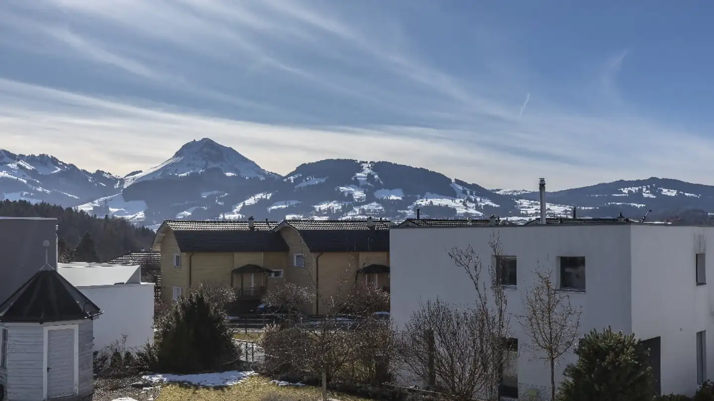 Single house for sale - Chemin Des Châtaigniers, 1630 Bulle - Photo 4