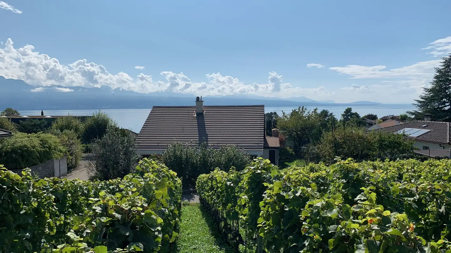 Villa à louer - Chemin Des Pâles, 1095 Lutry - Photo 2
