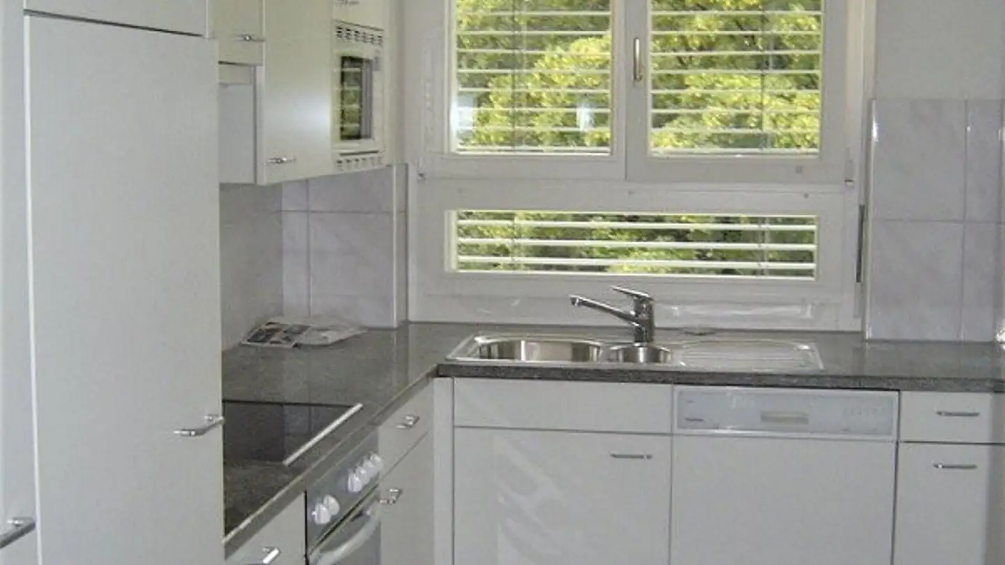 Appartamento in affitto - Altwiesenstrasse 141, 8051 Zürich - Foto 4
