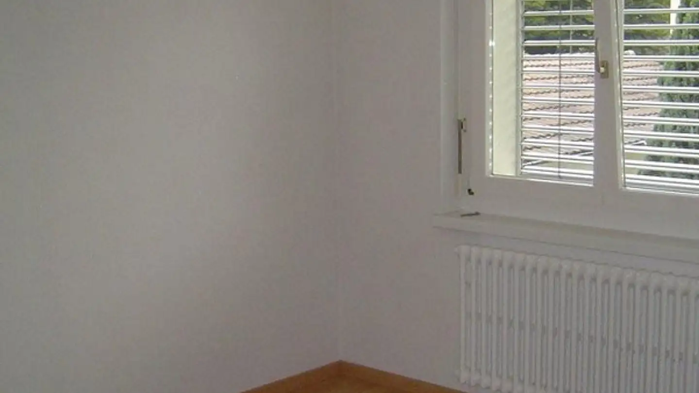 Appartamento in affitto - Altwiesenstrasse 141, 8051 Zürich - Foto 3