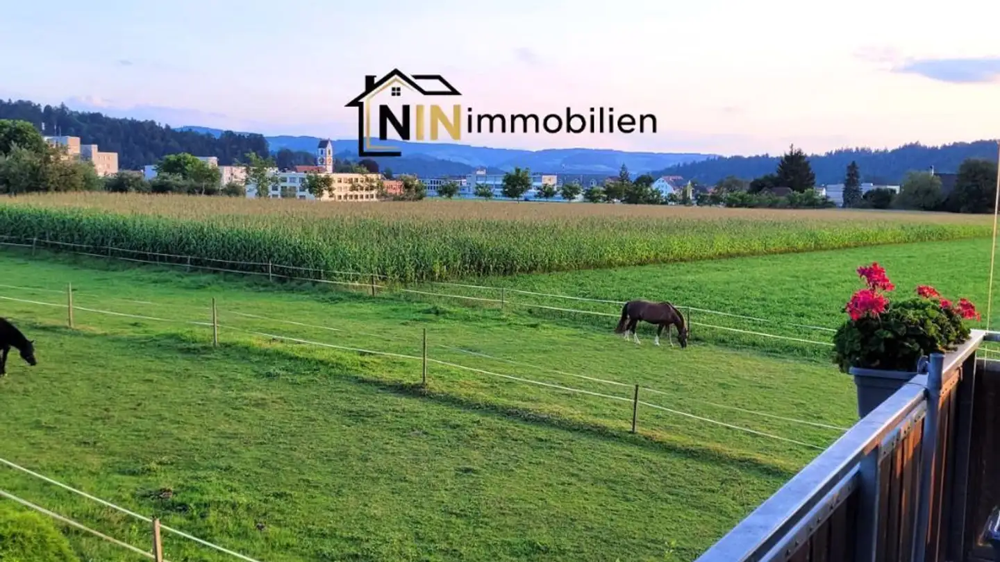 Appartamento in affitto - 3454 Sumiswald