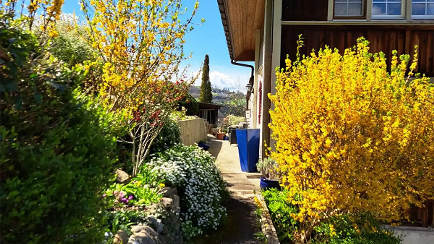 Farm for rent - Haufen 240, 9426 Lutzenberg - Photo 3