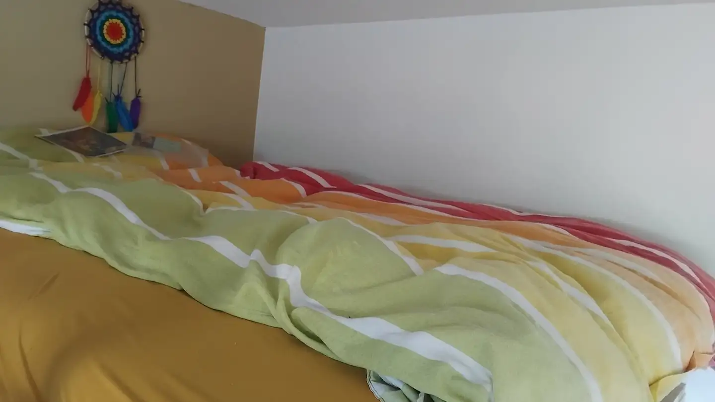 Apartment for rent - Glariseggerweg 1, 8266 Steckborn - Photo 4