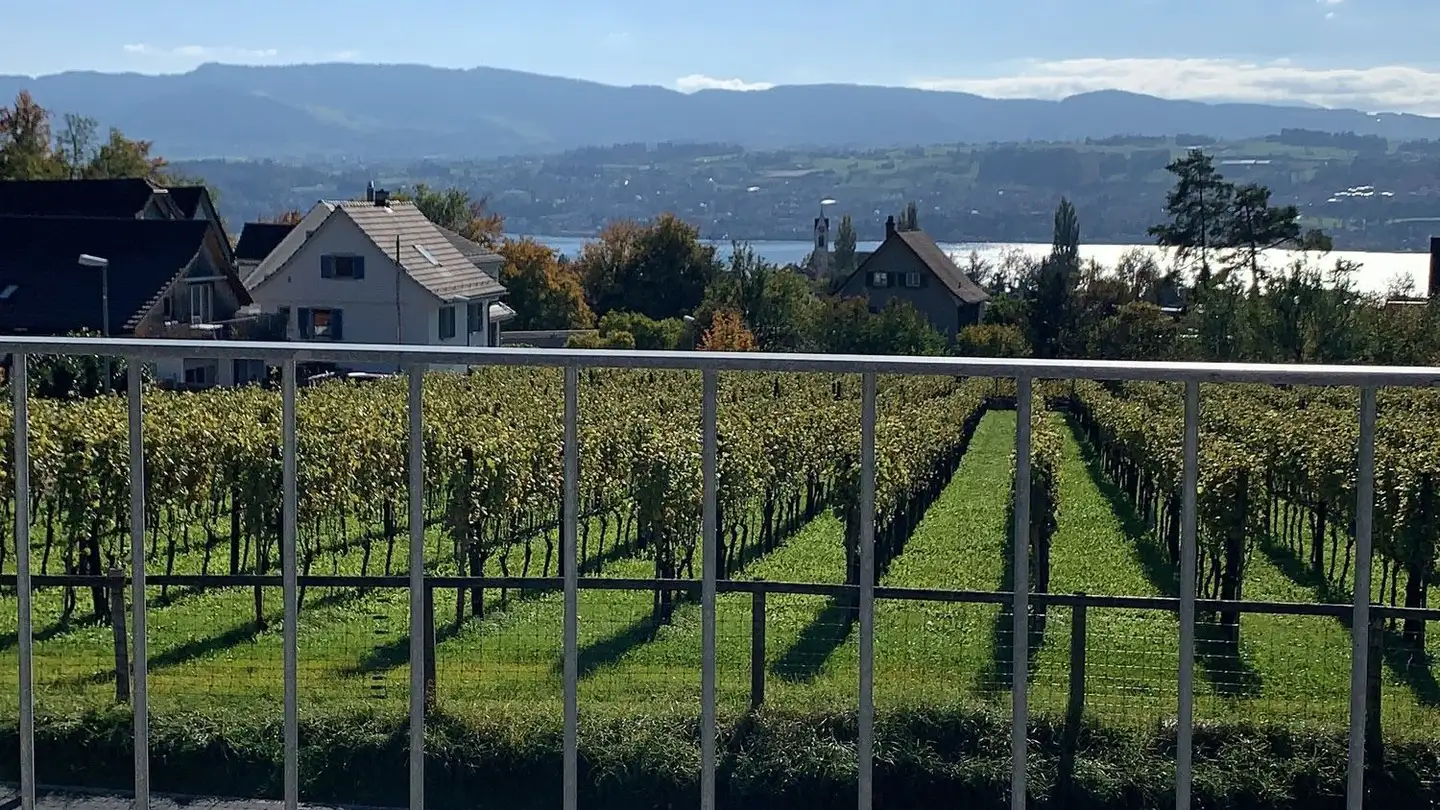 Terrassenwohnung mieten - 8707 Uetikon am See