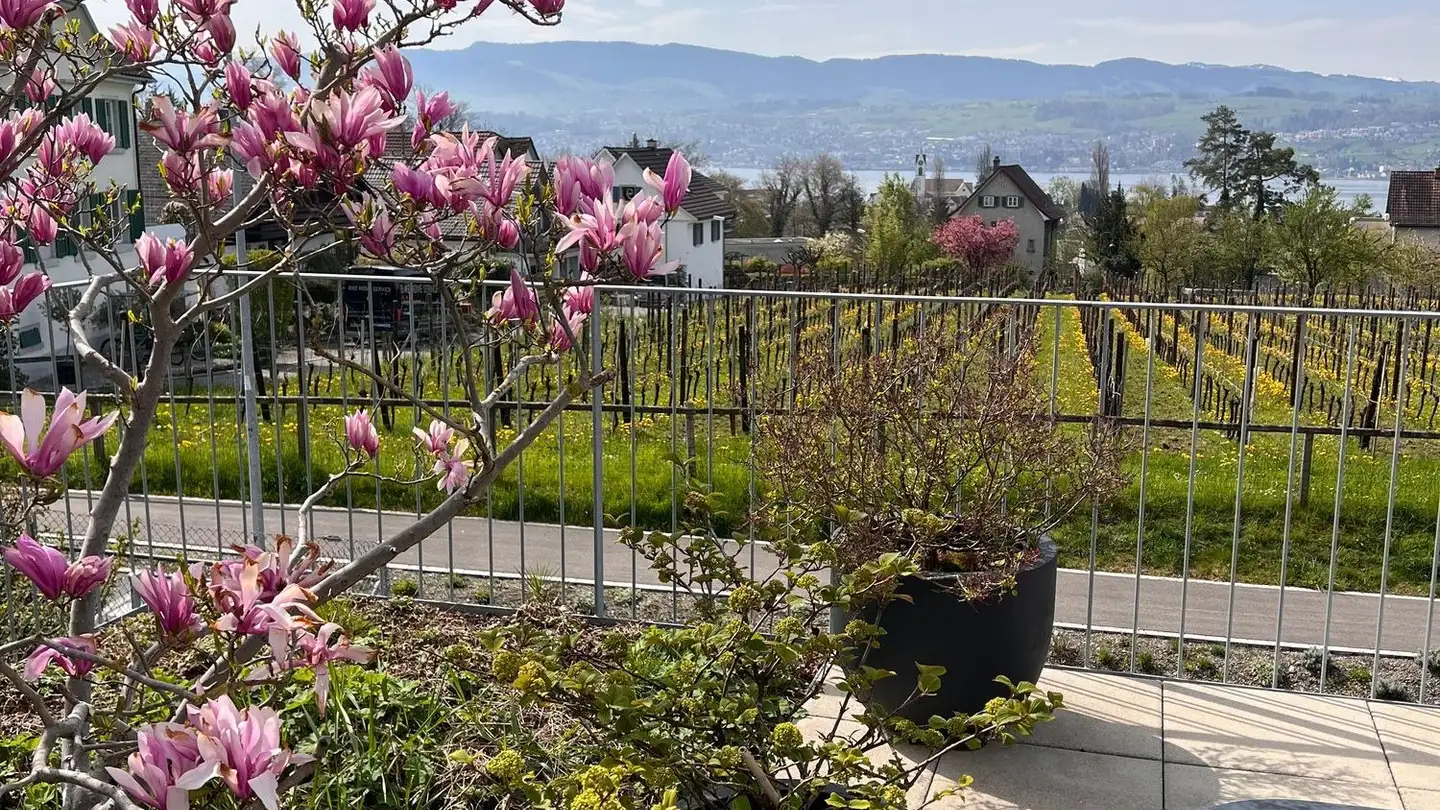 Terrassenwohnung mieten - 8707 Uetikon am See - Foto 4