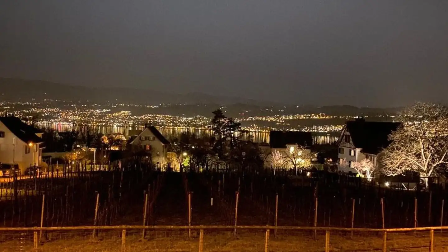 Terrassenwohnung mieten - 8707 Uetikon am See - Foto 3