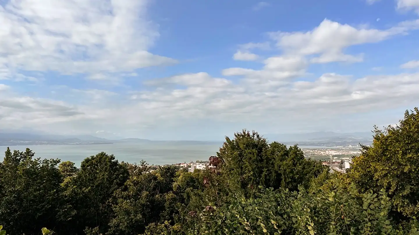 Appartement à vendre - 1010 Lausanne