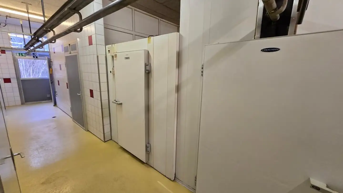 Gewerbe mieten - Mühlemattstrasse 39, 3178 Bösingen - Foto 3