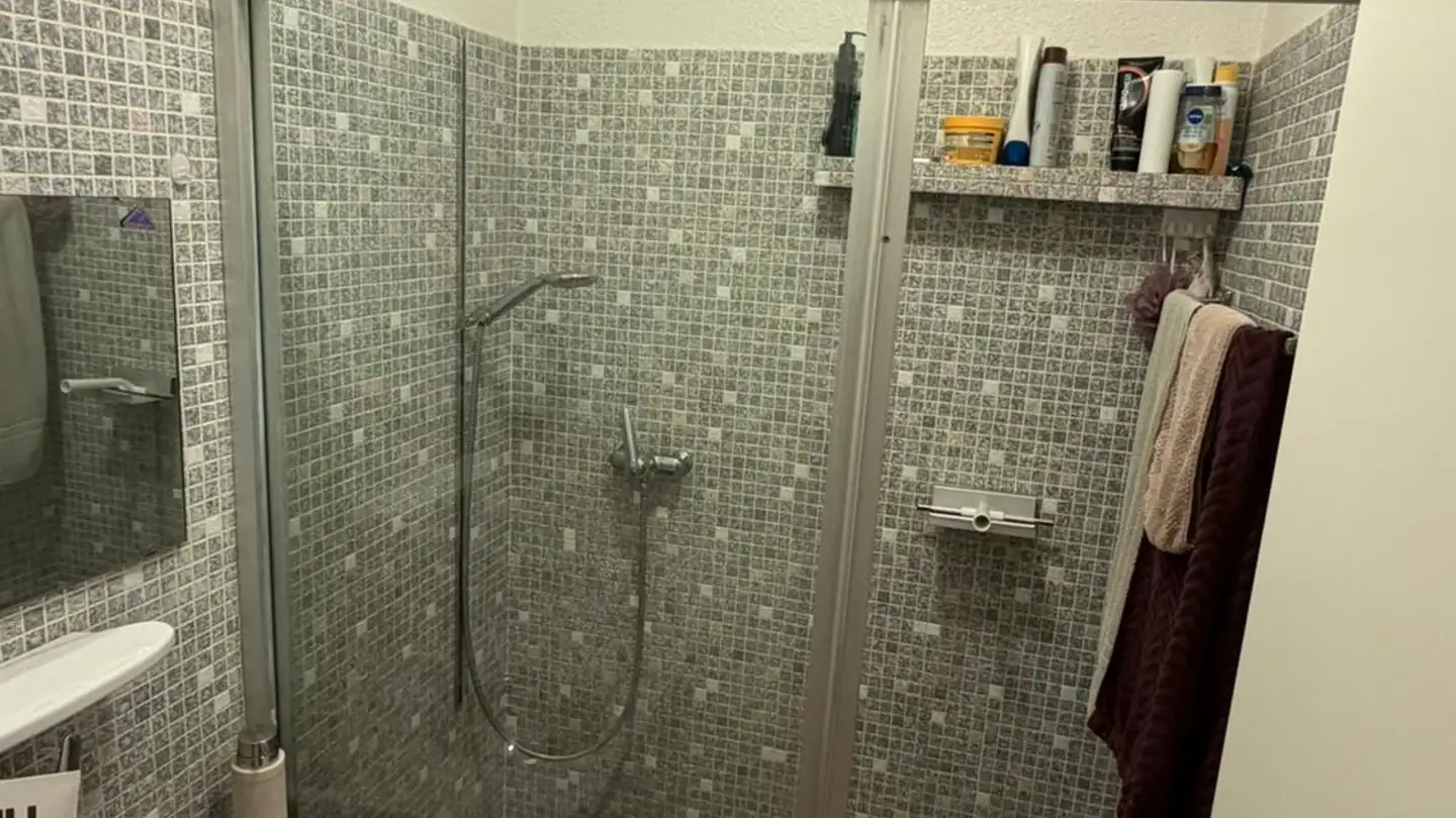 Single room for rent - Liesbergerstrasse, 4053 Basel - Photo 4