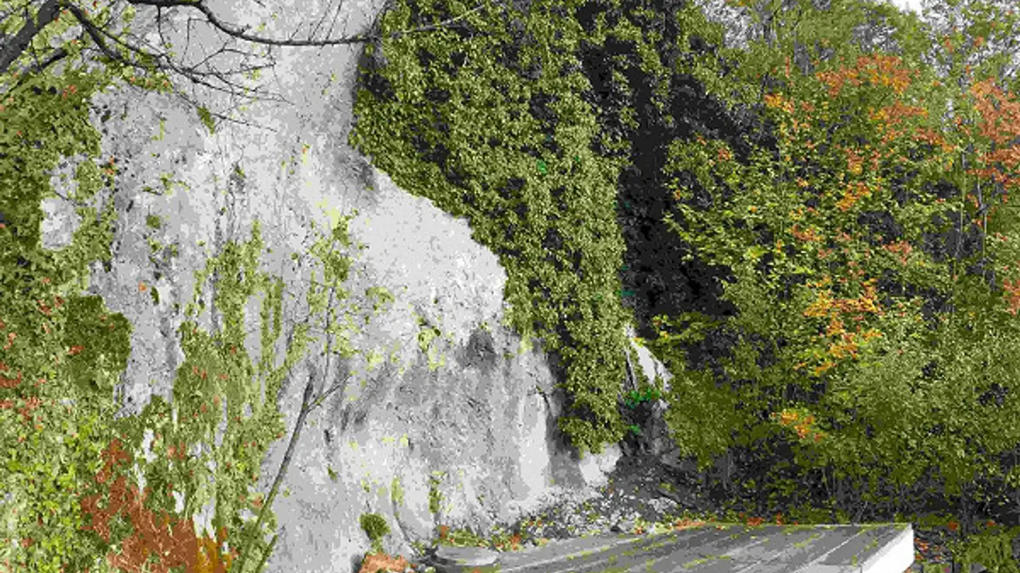 Edificio residenziale in vendita - Talstrasse 5, 4112 Flüh - Photo 2