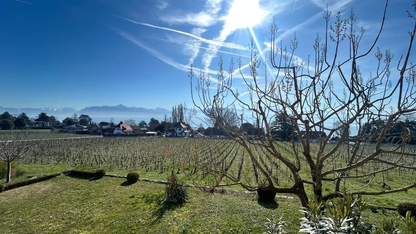 Appartement à louer - Route De Saint-Prex, 1164 Buchillon