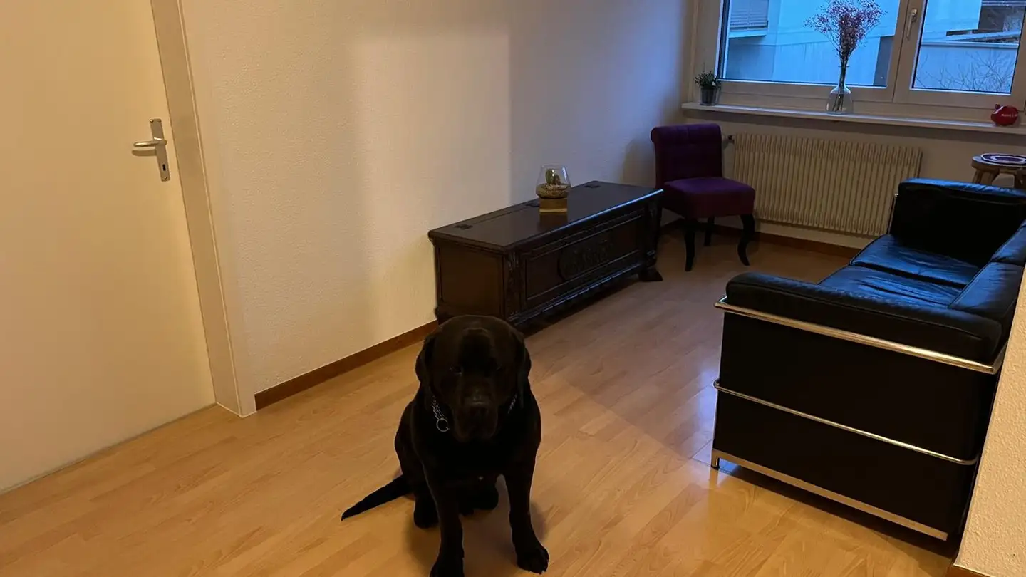 Appartement à louer - 6340 Baar - Photo 2