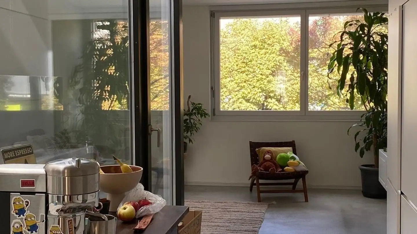 Appartement meublé à louer - Brandstrasse, 8952 Schlieren