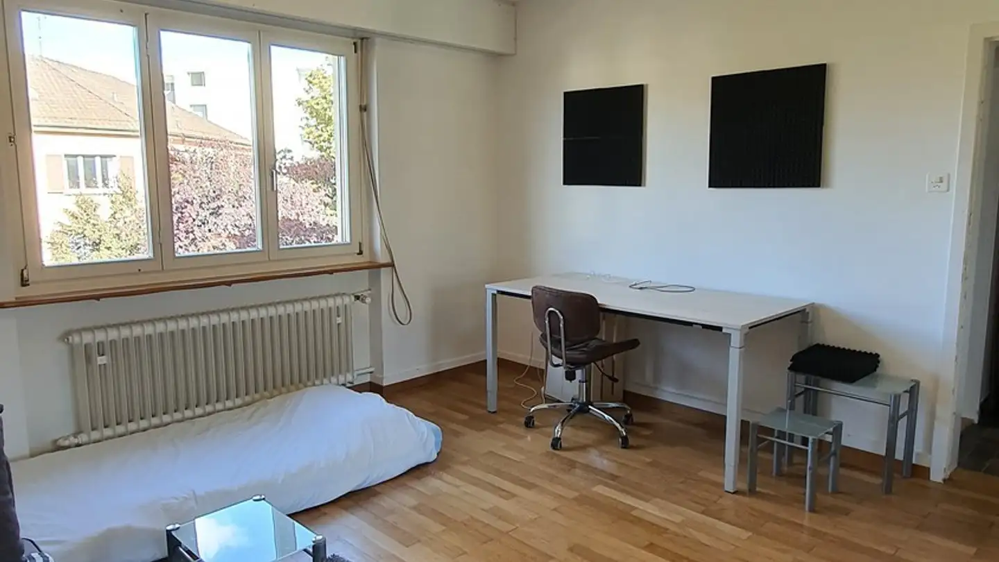 Chambre à louer - 8055 Zürich - Photo 2