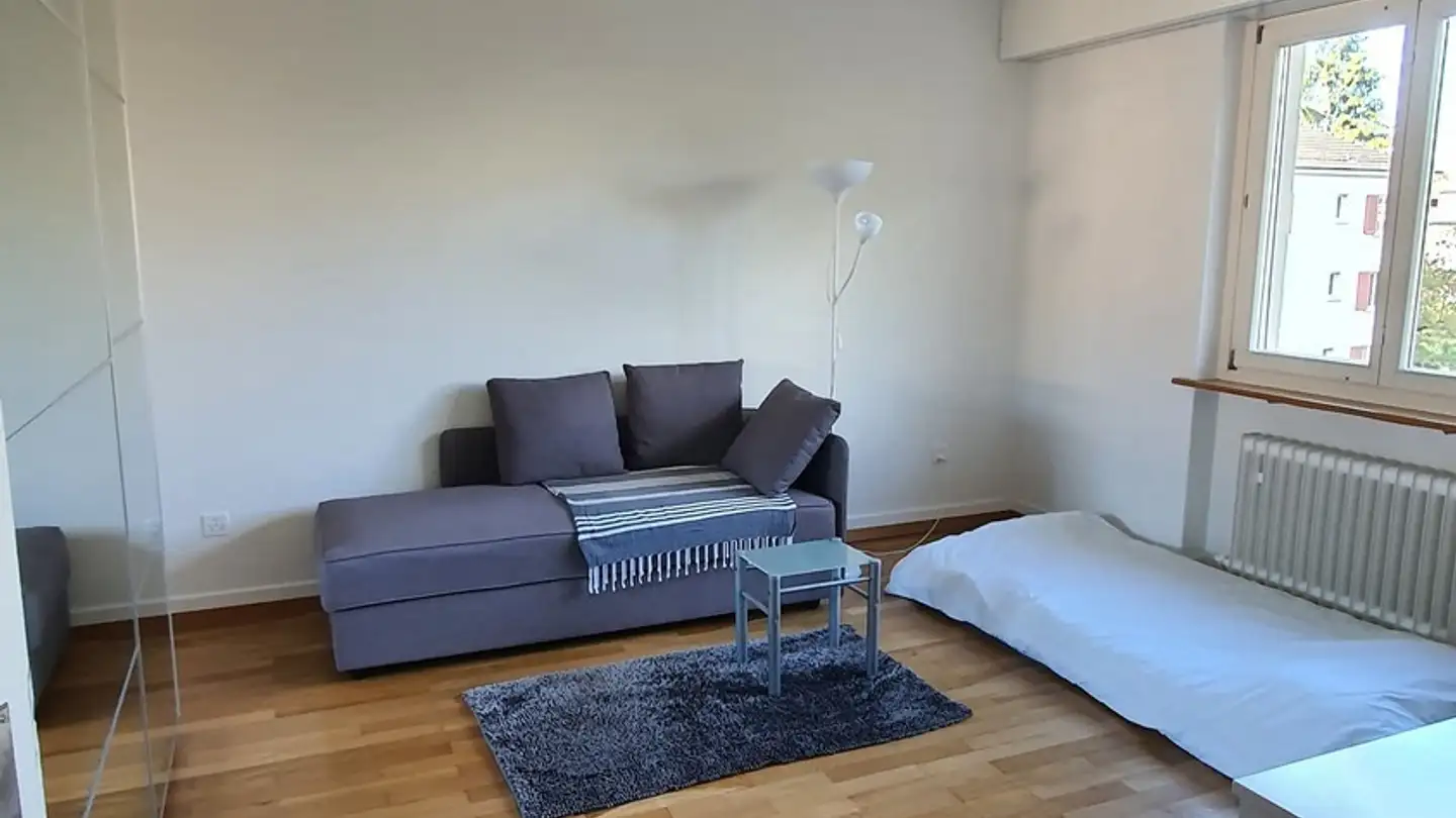 Chambre à louer - 8055 Zürich - Photo 3
