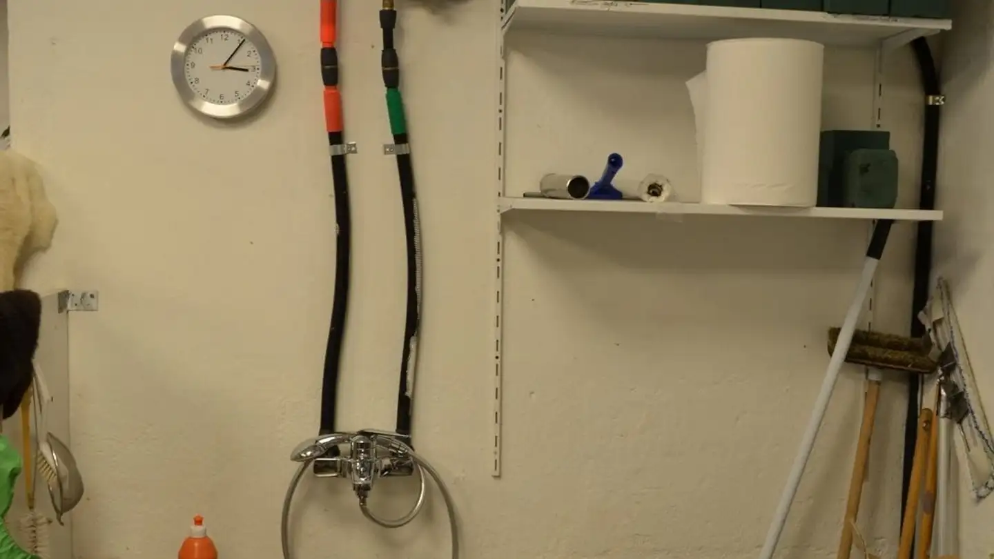 Commerciale in affitto - Schützengasse 1, 6460 Altdorf UR - Photo 4