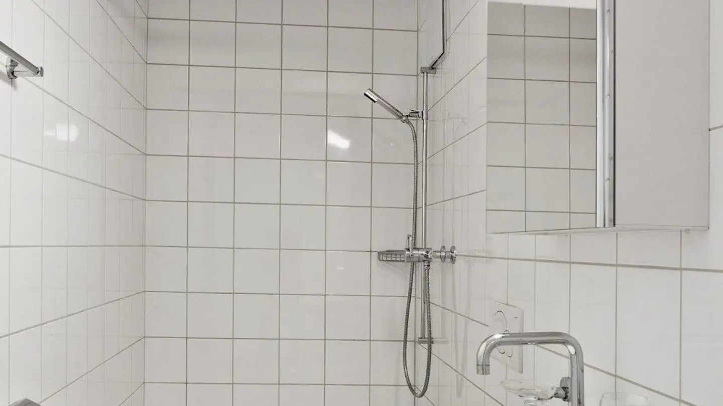 Appartement à louer - Ringlikerstrasse 73, 8142 Uitikon Waldegg - Photo 4