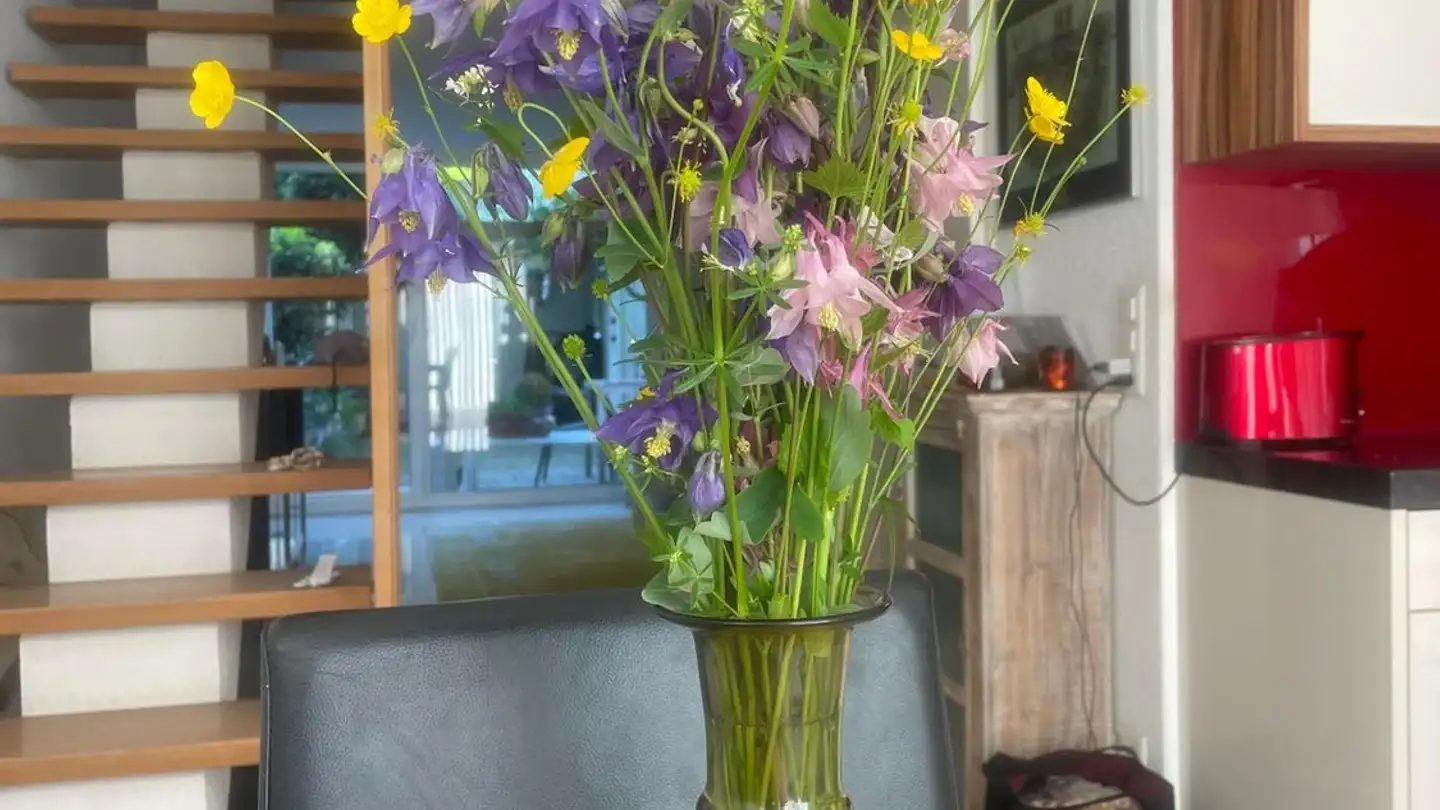 Stanza singola in affitto - Bruggstrasse 30, 8942 Oberrieden - Photo 3