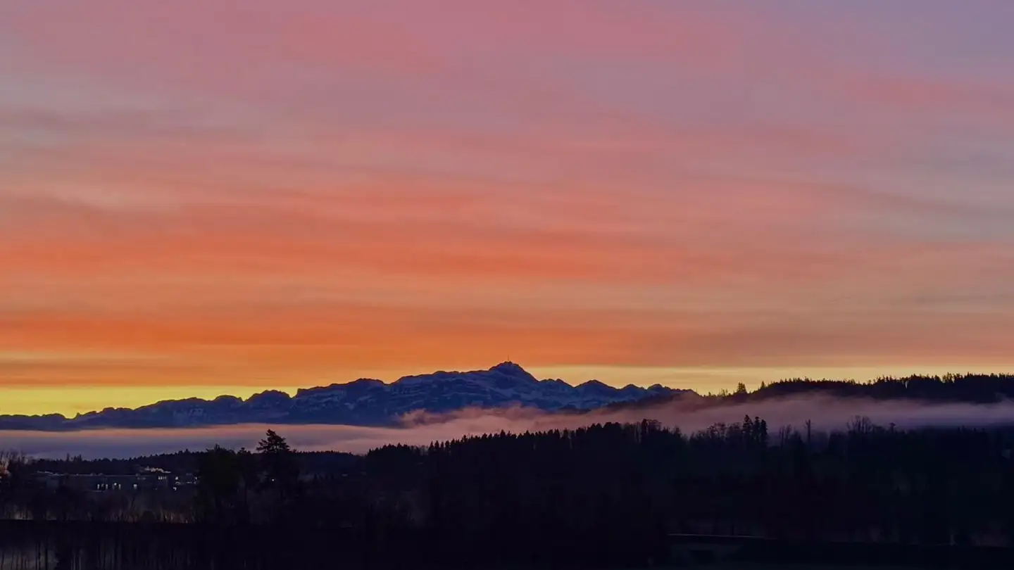 Doppelhaushälfte kaufen - 9523 Züberwangen