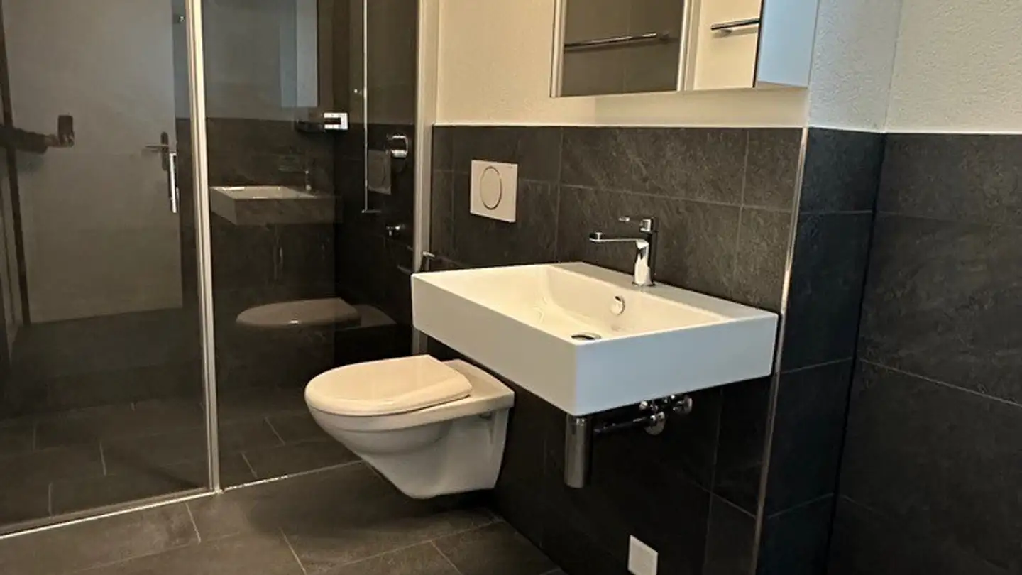 Appartement à louer - Engstringerstrasse 50, 8952 Schlieren - Photo 3