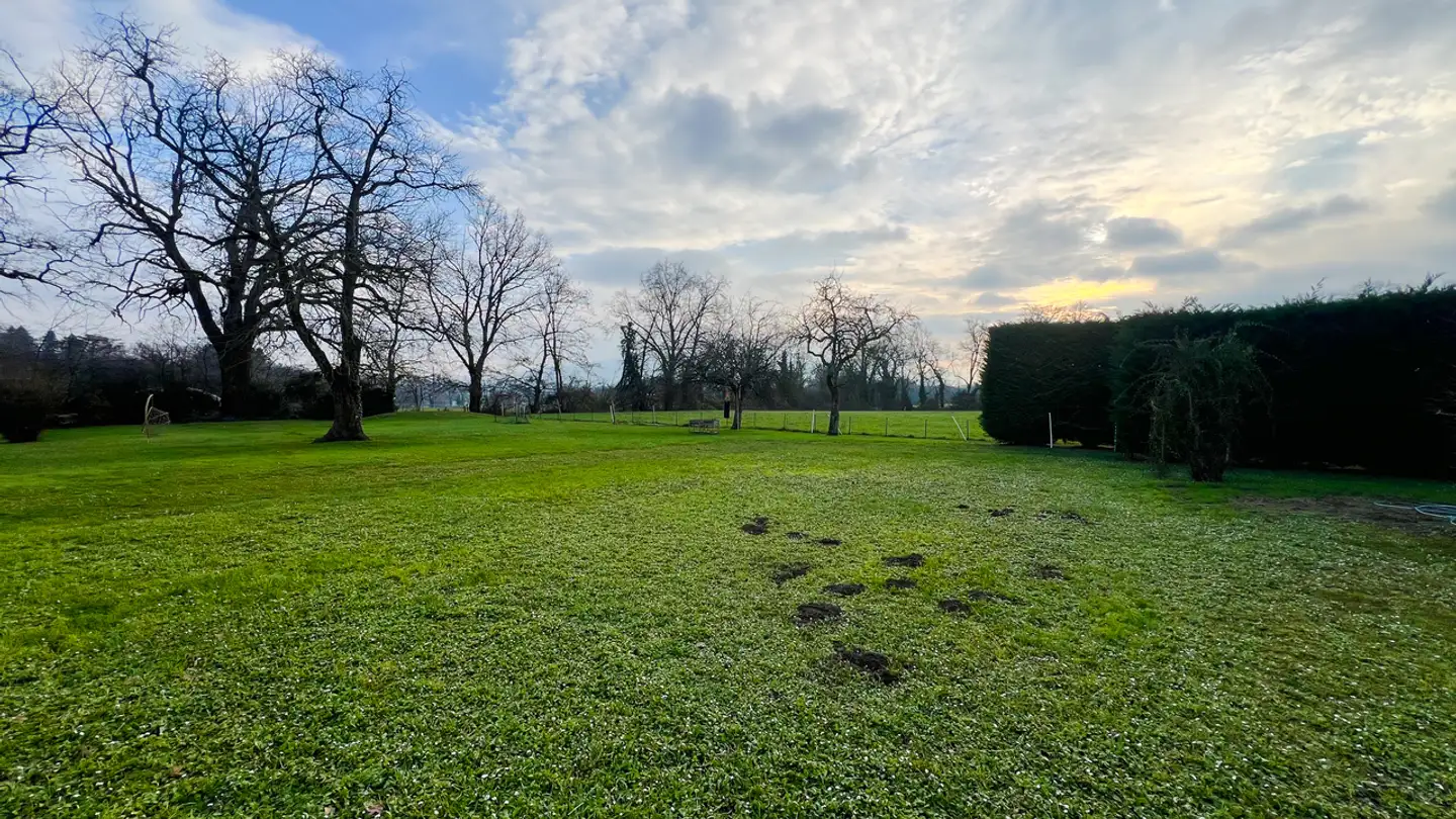 Casa singola in affitto - 1244 Choulex - Foto 4