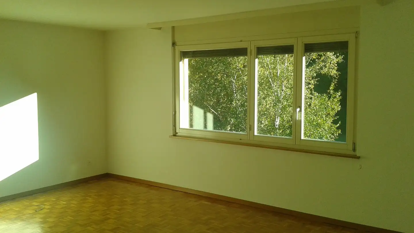 Apartment for rent - 2015 Areuse