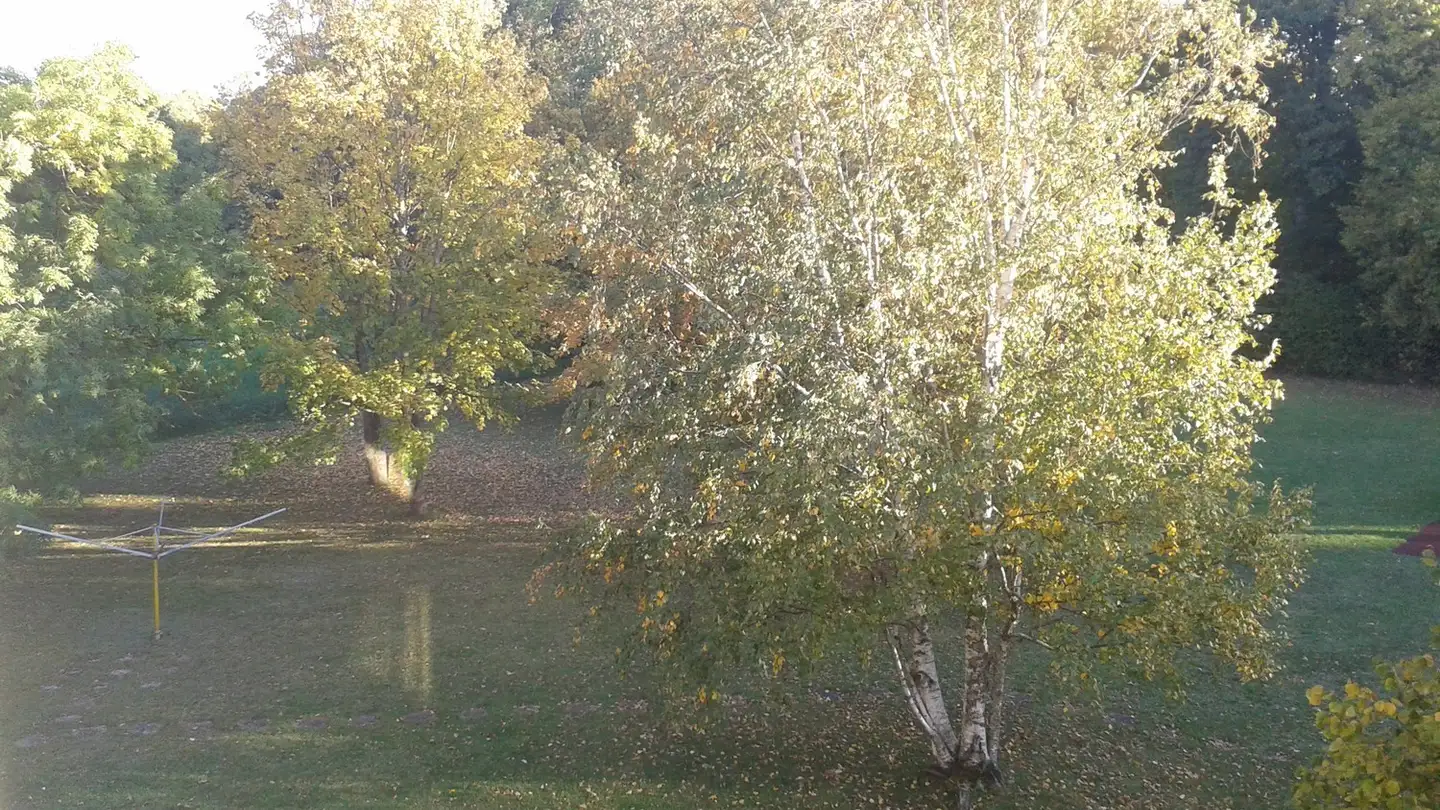 Appartement à louer - 2015 Areuse - Photo 3