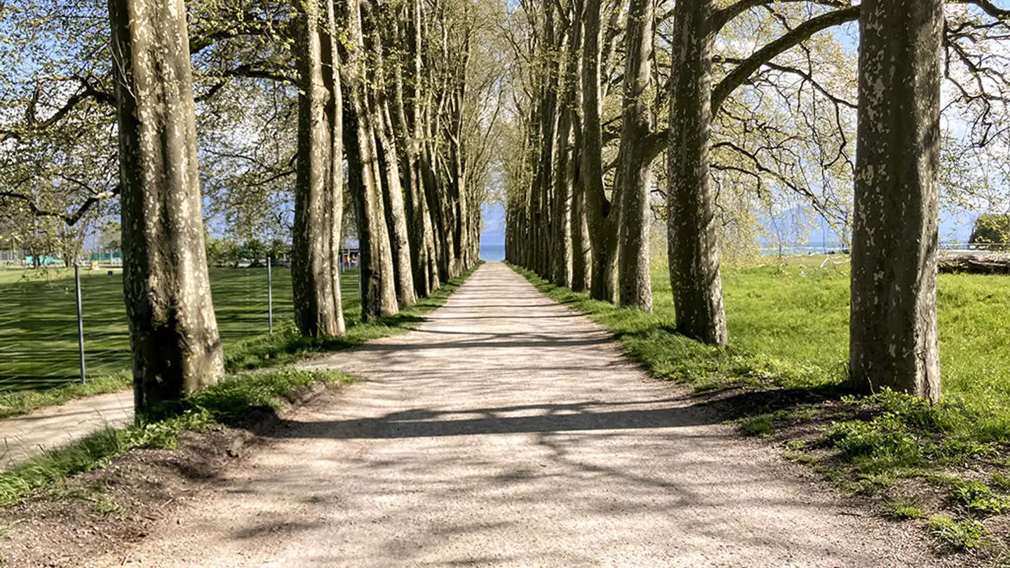 Maison individuelle à vendre - 1007 Lausanne - Photo 3