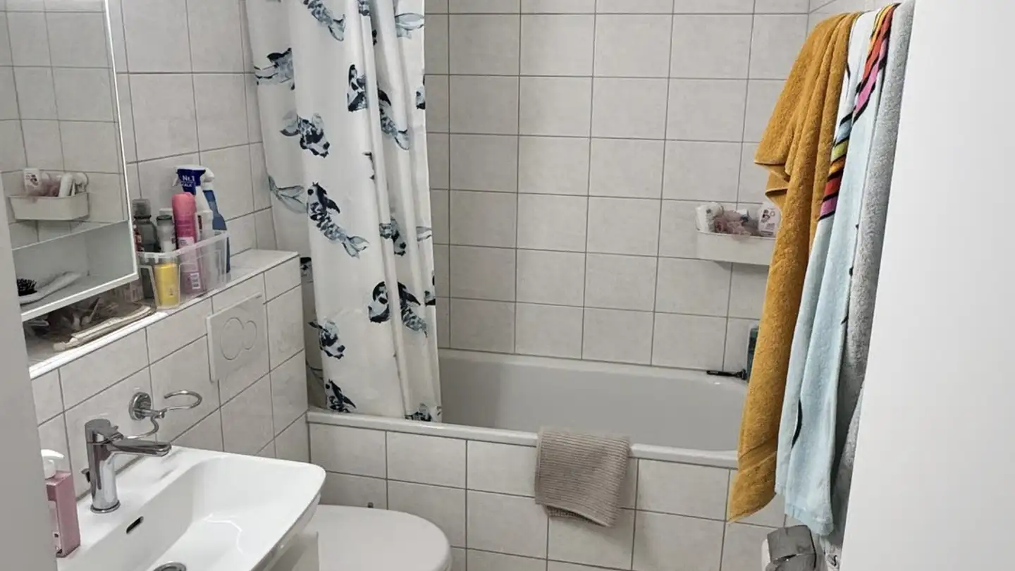 Appartamento ammobiliato in affitto - Wangenstrasse 2, 8600 Dübendorf - Foto 4