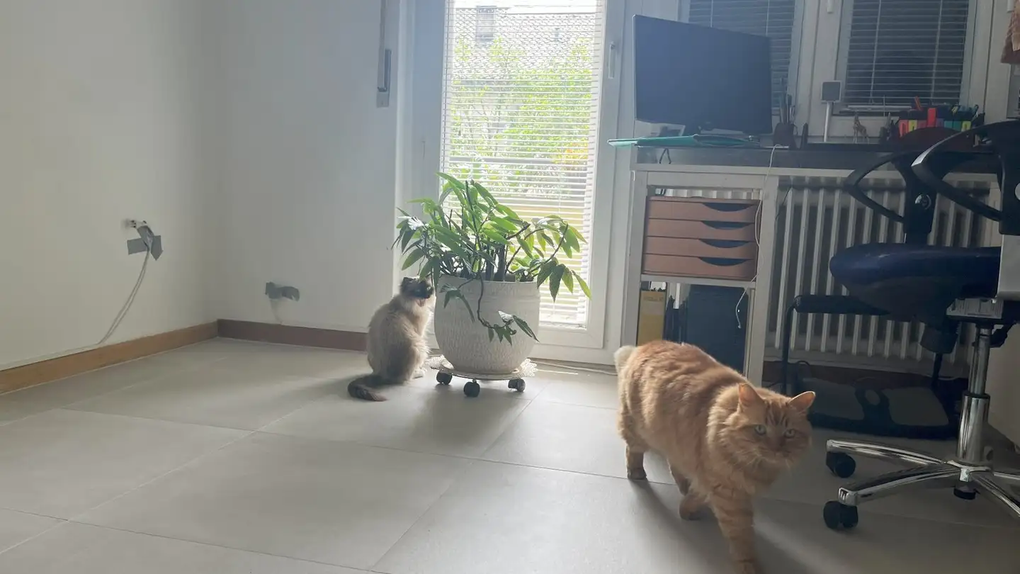 Appartamento in affitto - 2502 Biel/Bienne - Foto 3