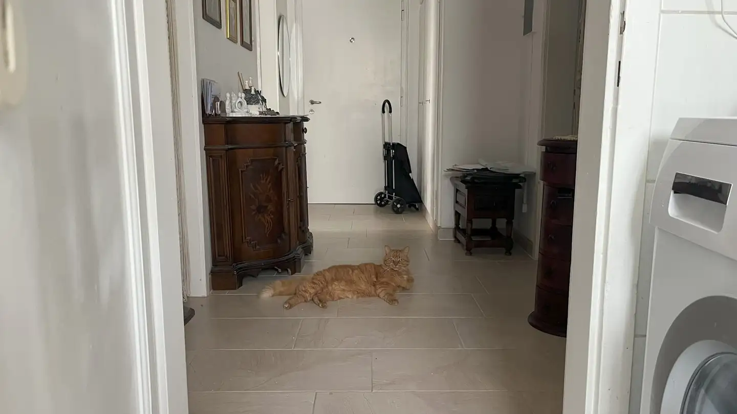 Appartamento in affitto - 2502 Biel/Bienne - Foto 2