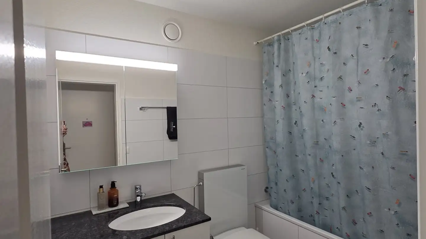 Appartamento ammobiliato in affitto - Lindenstrasse 11, 8707 Uetikon am See - Foto 4