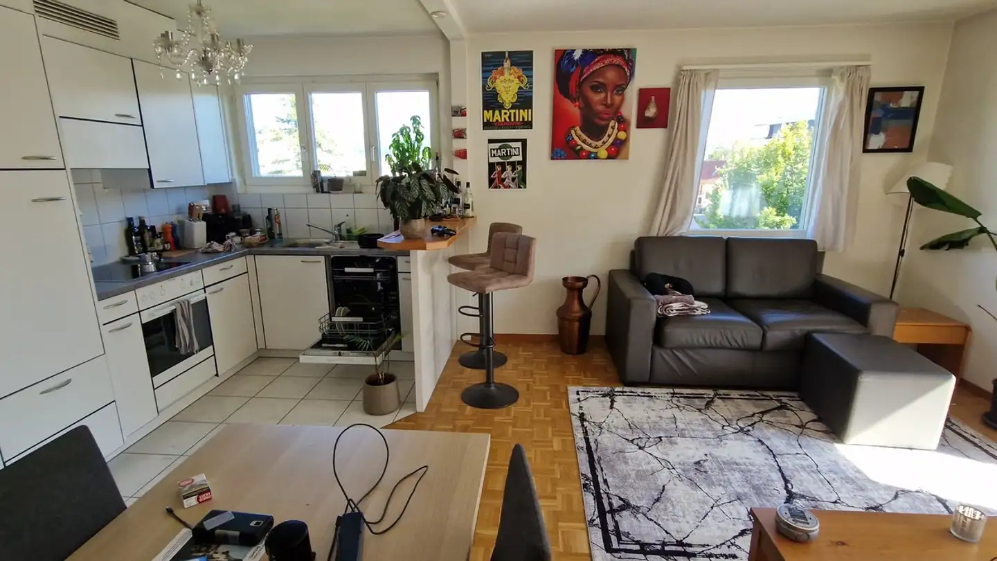 Furnished apartment for rent - Steinackerstrasse 13, 8953 Dietikon