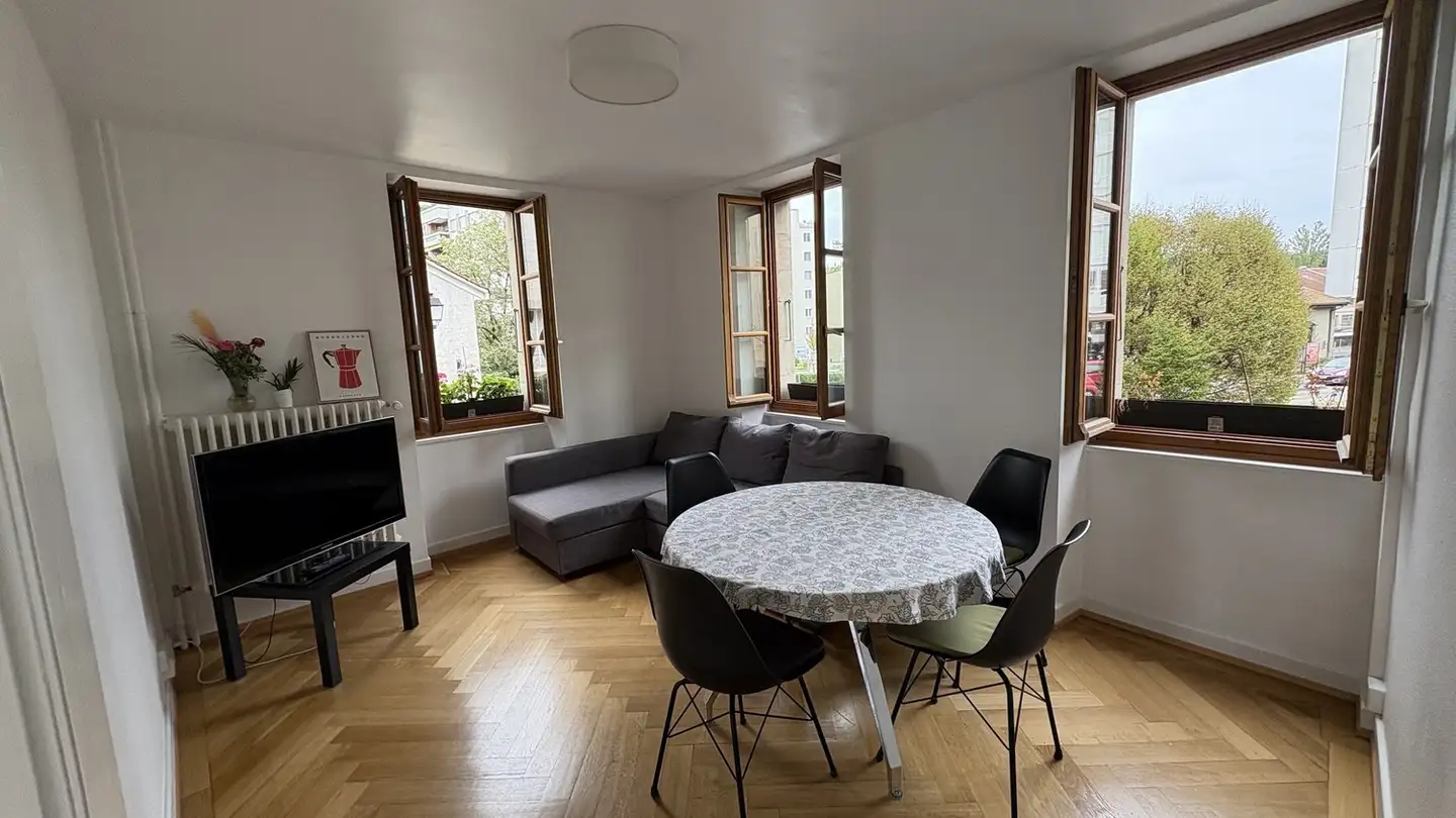 Appartamento in affitto - Rue De La Filature 13, 1227 Carouge GE