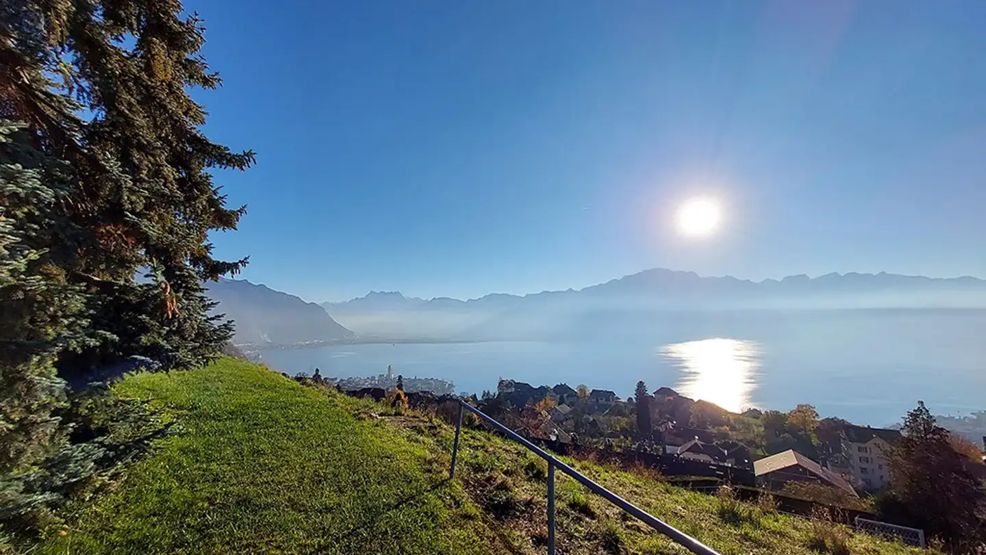 Villa kaufen - 1807 Blonay