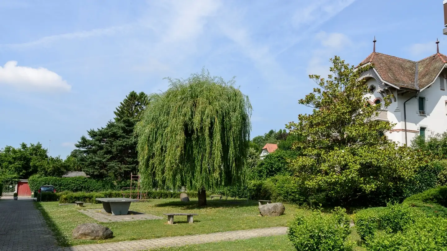 Sala hobby in affitto - Avenue De Chanel, 1110 Morges - Photo 3