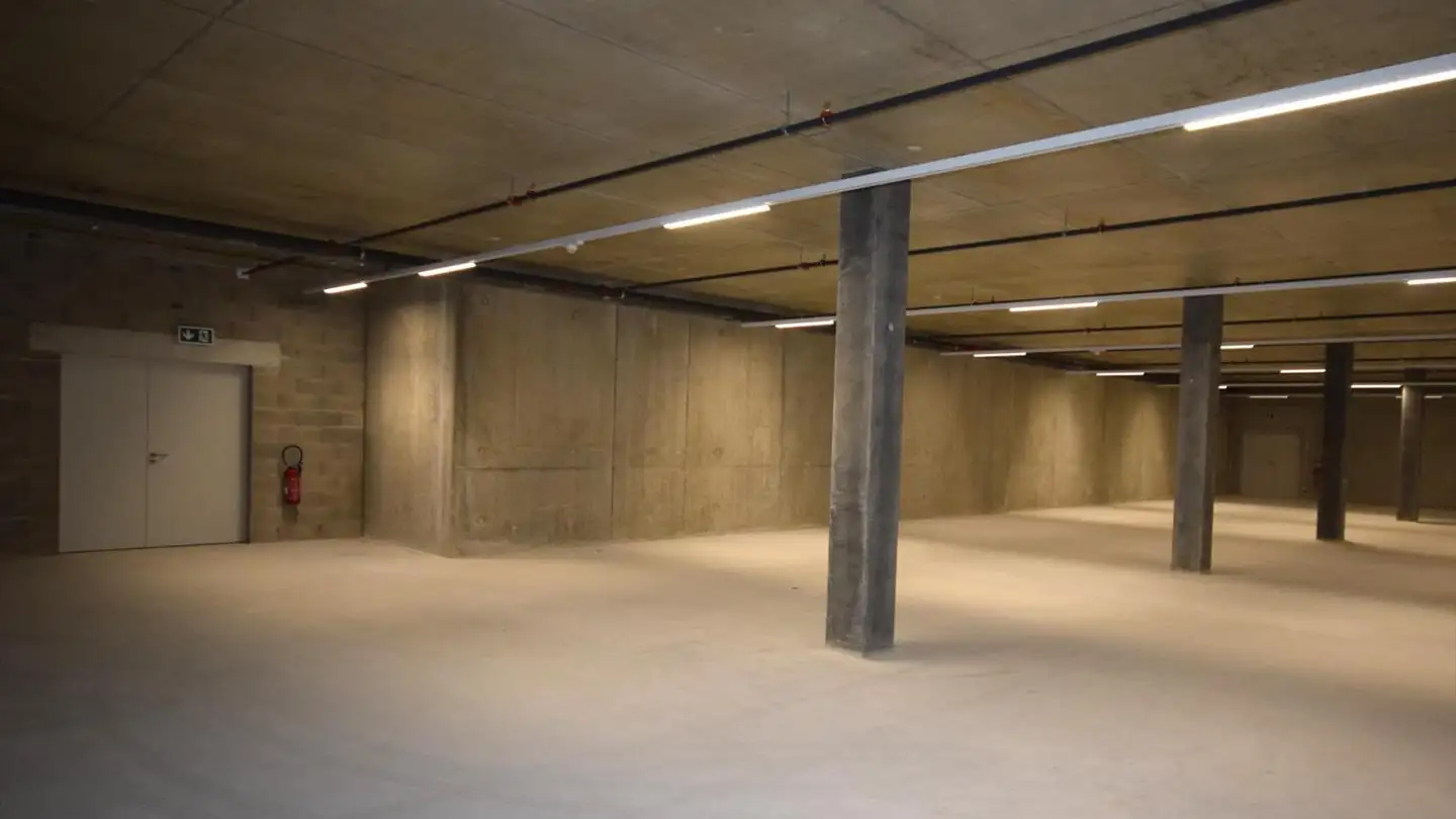 Commercial for rent - Route Des Fayards 282, 1290 Versoix - Photo 3