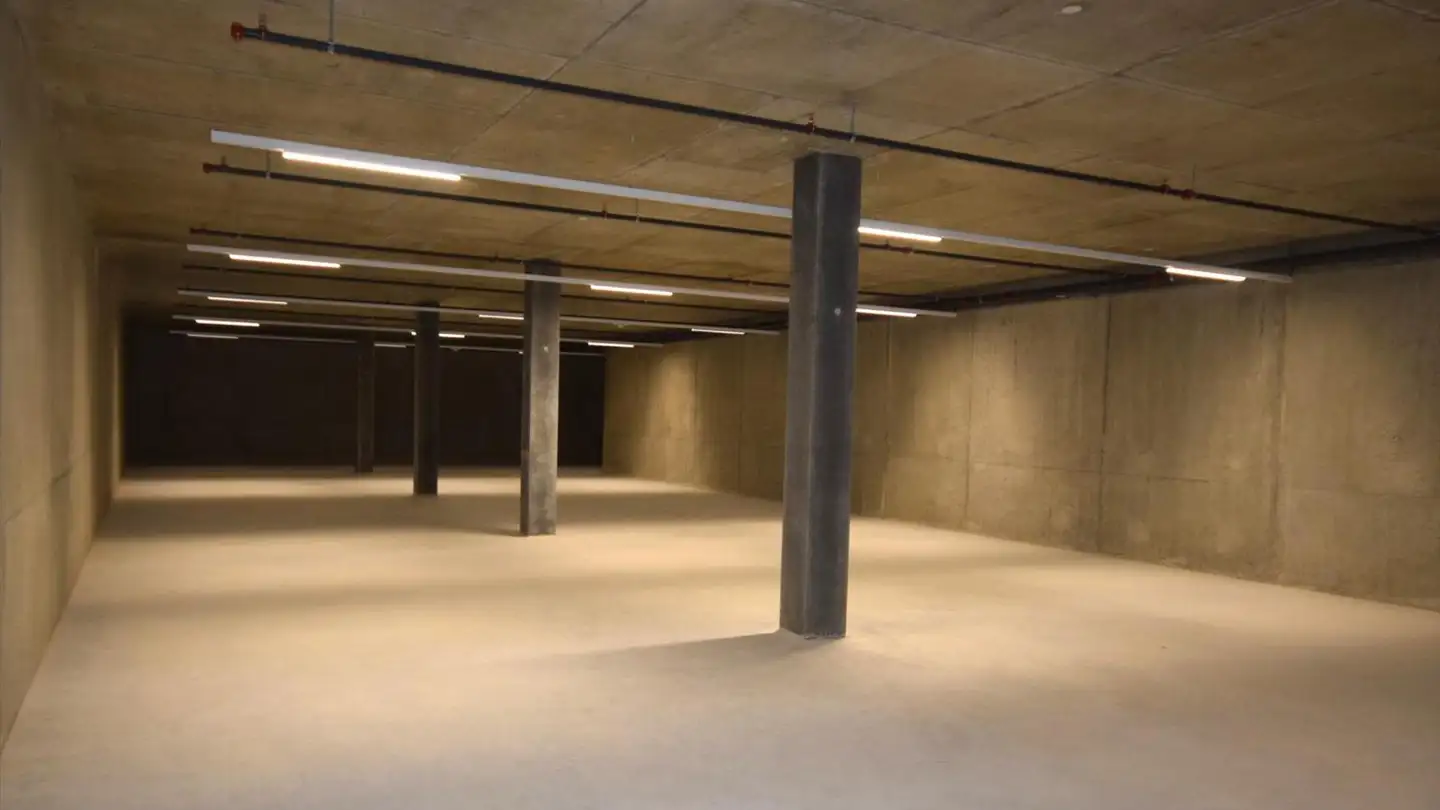 Commercial for rent - Route Des Fayards 282, 1290 Versoix - Photo 4