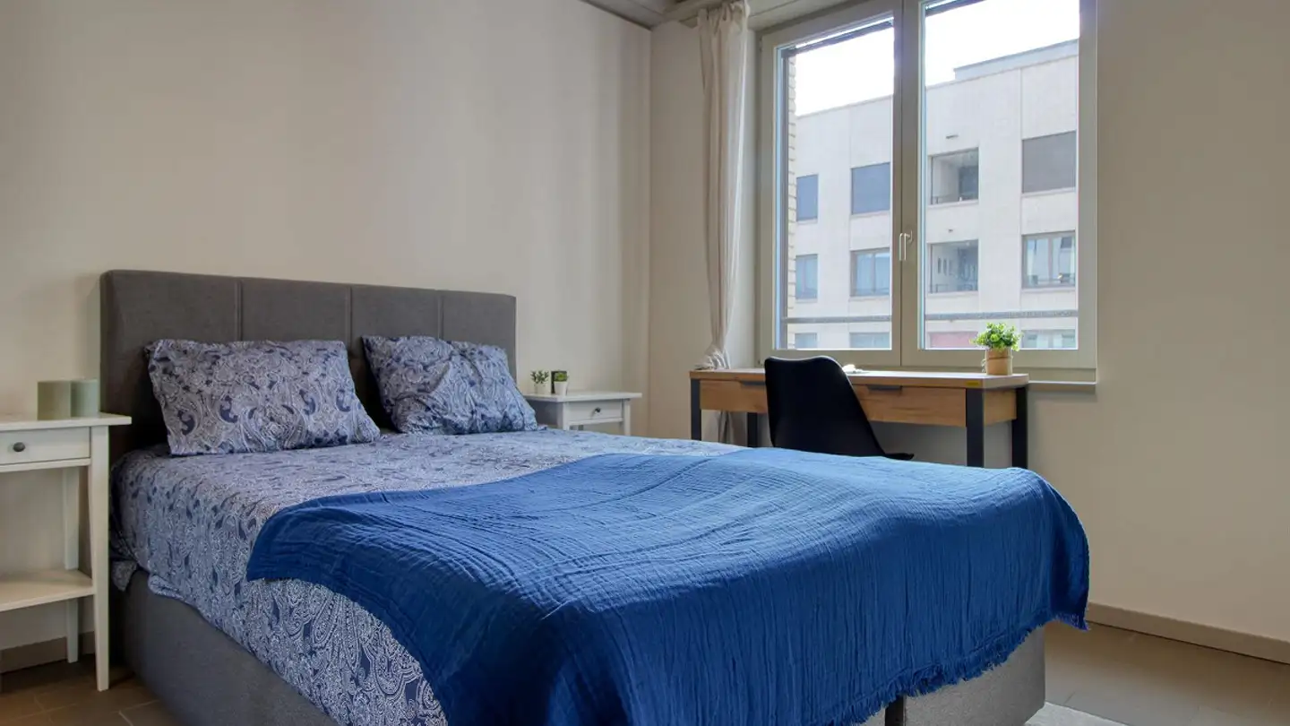 Studio for rent - 8952 Schlieren