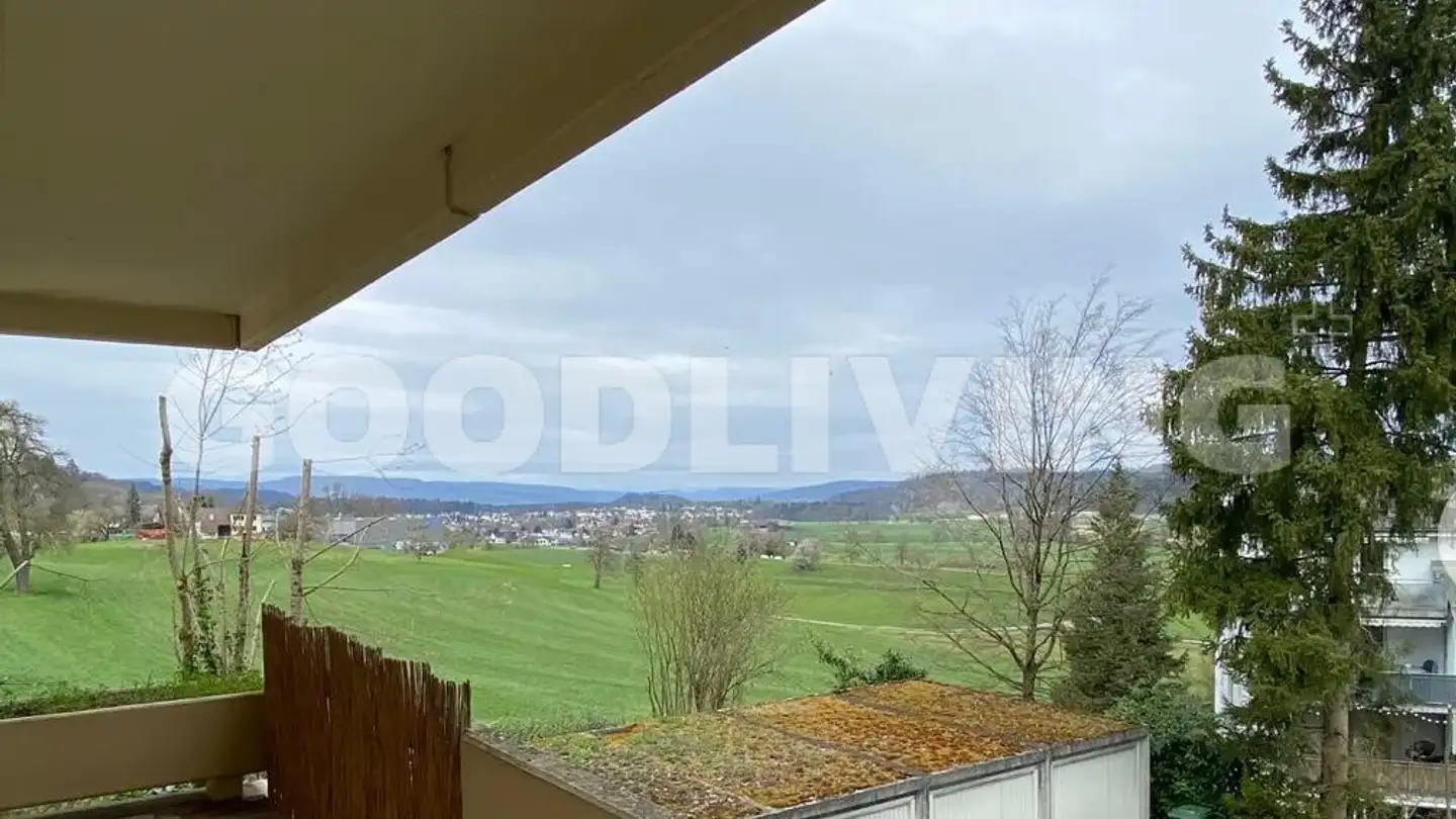 Wohnung kaufen - Kofer 46, 5705 Hallwil