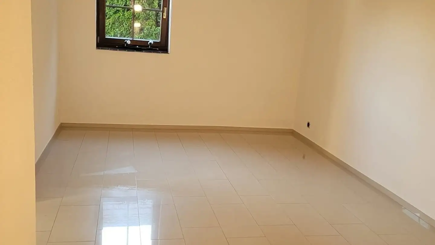 Appartamento in affitto - 4433 Ramlinsburg - Photo 2