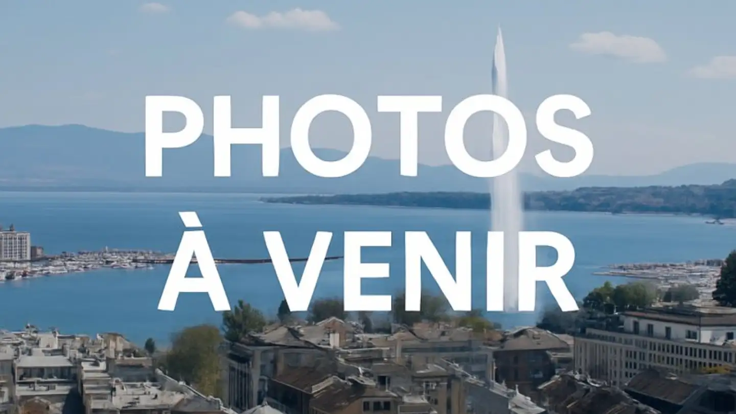 Einfamilienhaus mieten - Chemin De Villars 19a, 1290 Versoix