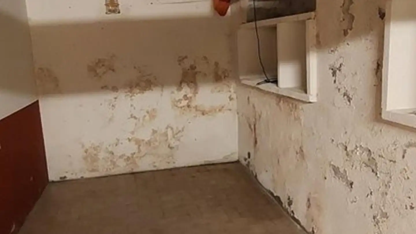 Bureau à louer - Chemin De La Vendée 29, 1213 Petit-Lancy - Photo 3