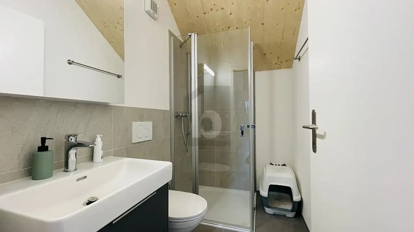 Attico in affitto - 8228 Beggingen - Photo 3