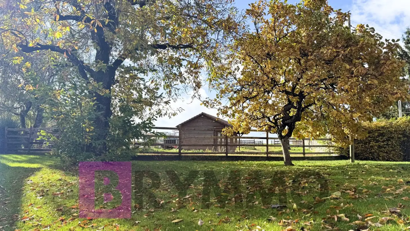 Fattoria in vendita - 1045 Ogens - Foto 3