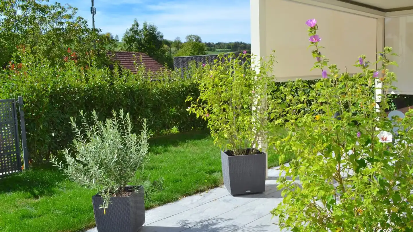 Semi-detached house for sale - Weiheracherstrasse, 5079 Zeihen - Photo 2